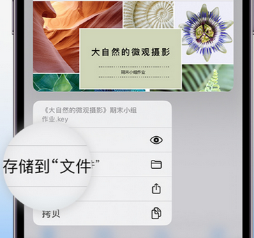 四子王apple维修中心分享iPhone文件应用中存储和找到下载文件