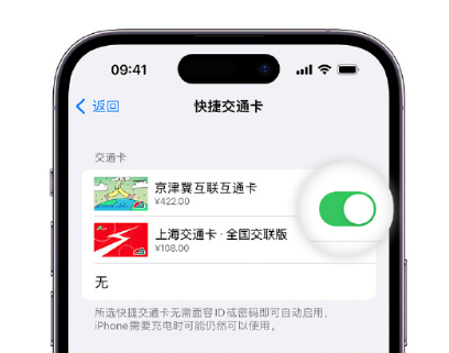 四子王apple维修点分享iPhone上更换Apple Pay快捷交通卡手绘卡面 