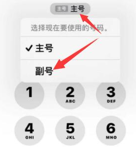 四子王苹果14维修店分享iPhone 14 Pro Max使用副卡打电话的方法 