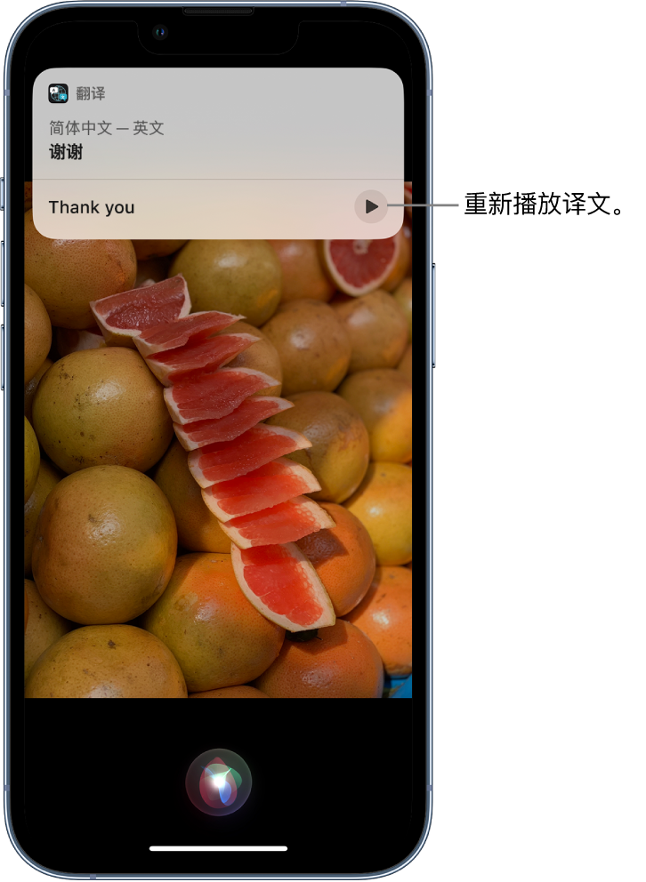 四子王苹果14维修分享 iPhone 14 机型中使用 Siri：了解 Siri 能帮你做什么 