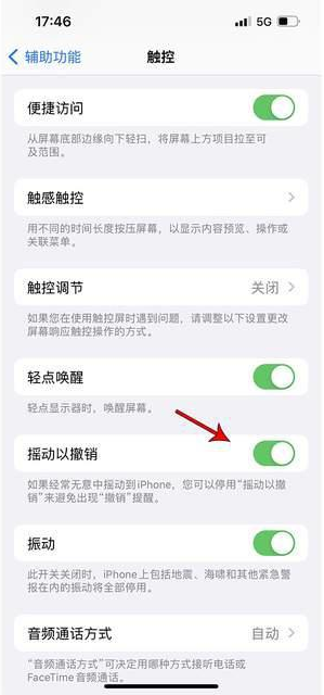 四子王苹果手机维修分享iPhone手机如何设置摇一摇删除文字 